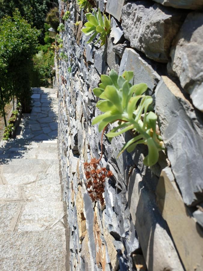 B&B Collina E Mare Camogli Exterior foto