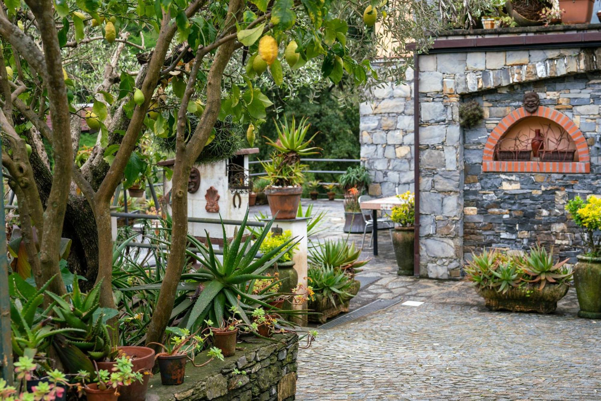 B&B Collina E Mare Camogli Exterior foto