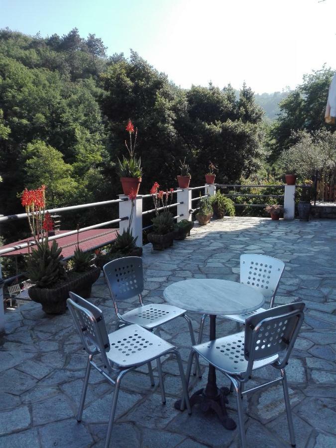 B&B Collina E Mare Camogli Exterior foto